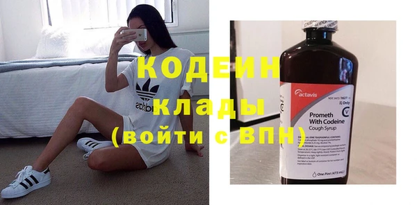 индика Дмитриев