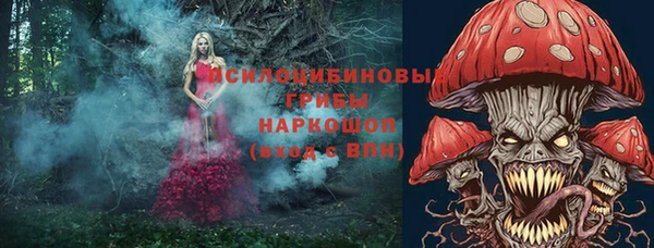 гидропоника Заводоуковск