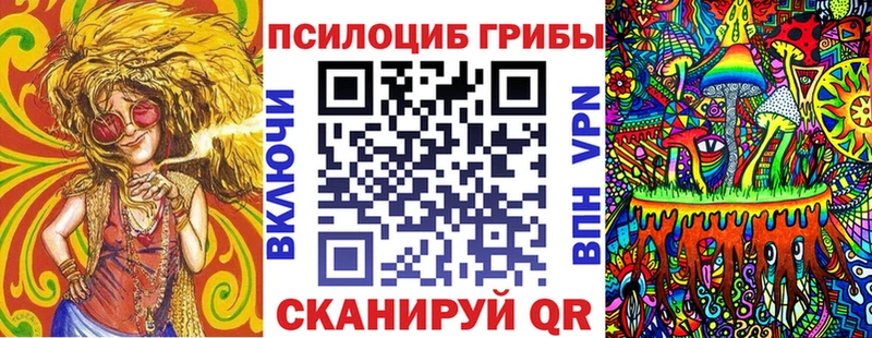 Галлюциногенные грибы Psilocybine cubensis  Купить закладки  Свирск 